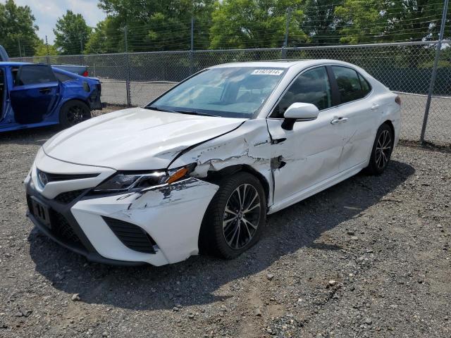 TOYOTA CAMRY 2019 4t1b21hk2ku521792