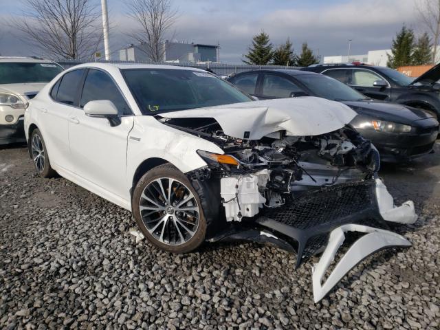 TOYOTA CAMRY XLE 2020 4t1b21hk2lu522202