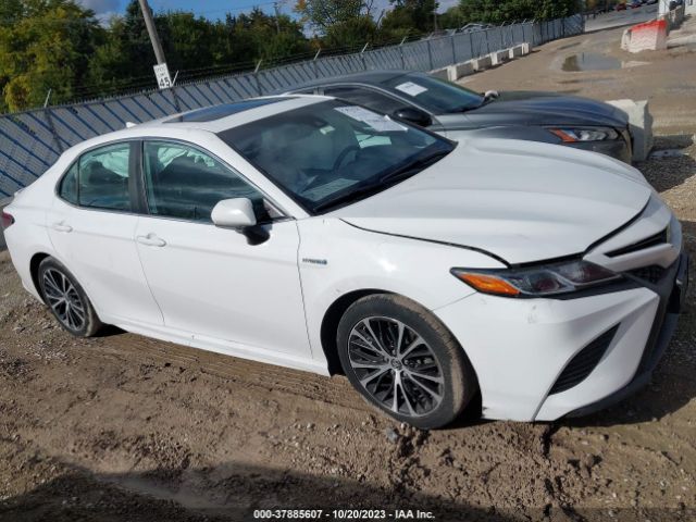 TOYOTA CAMRY 2019 4t1b21hk3ku012519