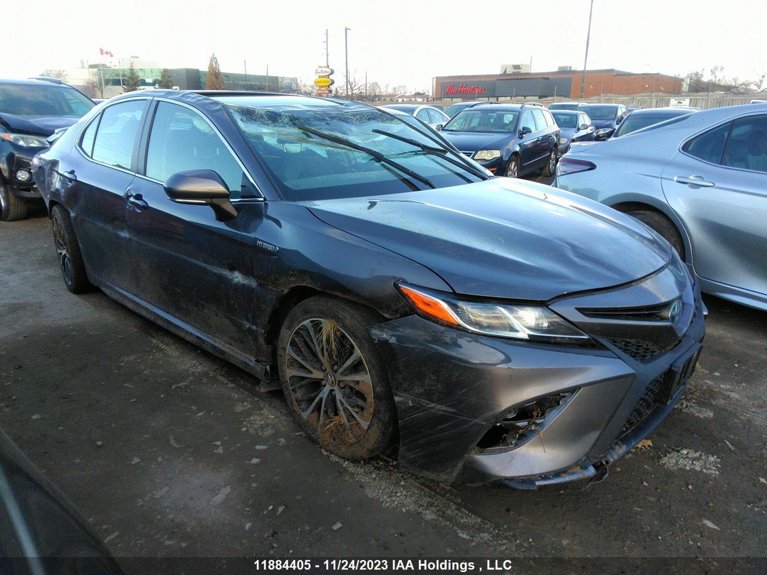 TOYOTA CAMRY 2019 4t1b21hk4ku516190