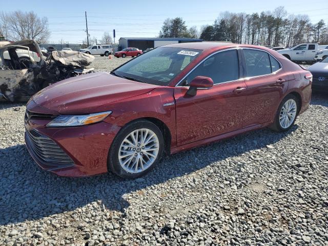 TOYOTA CAMRY 2019 4t1b21hk5ku013204