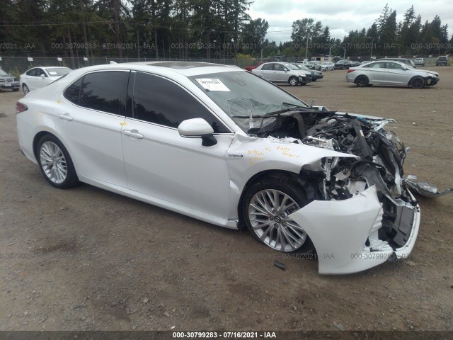 TOYOTA CAMRY 2019 4t1b21hk5ku013350