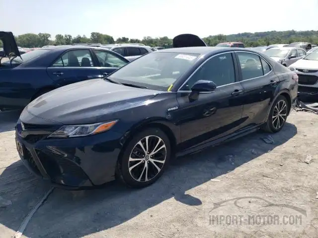 TOYOTA CAMRY 2019 4t1b21hk5ku013395