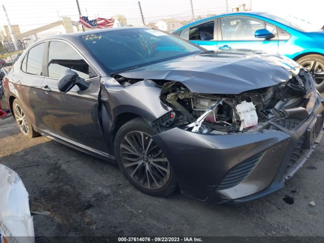 TOYOTA CAMRY 2019 4t1b21hk5ku517798