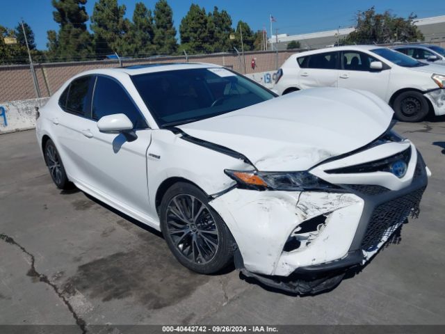 TOYOTA CAMRY 2019 4t1b21hk5ku518272