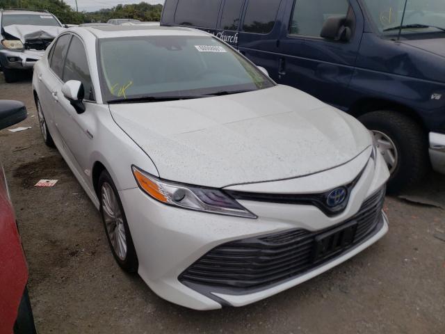 TOYOTA CAMRY HYBR 2019 4t1b21hk7ku515423