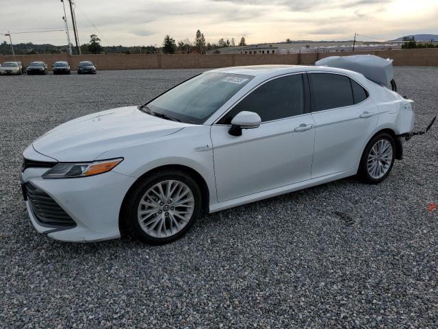 TOYOTA CAMRY HYBR 2019 4t1b21hk7ku521108