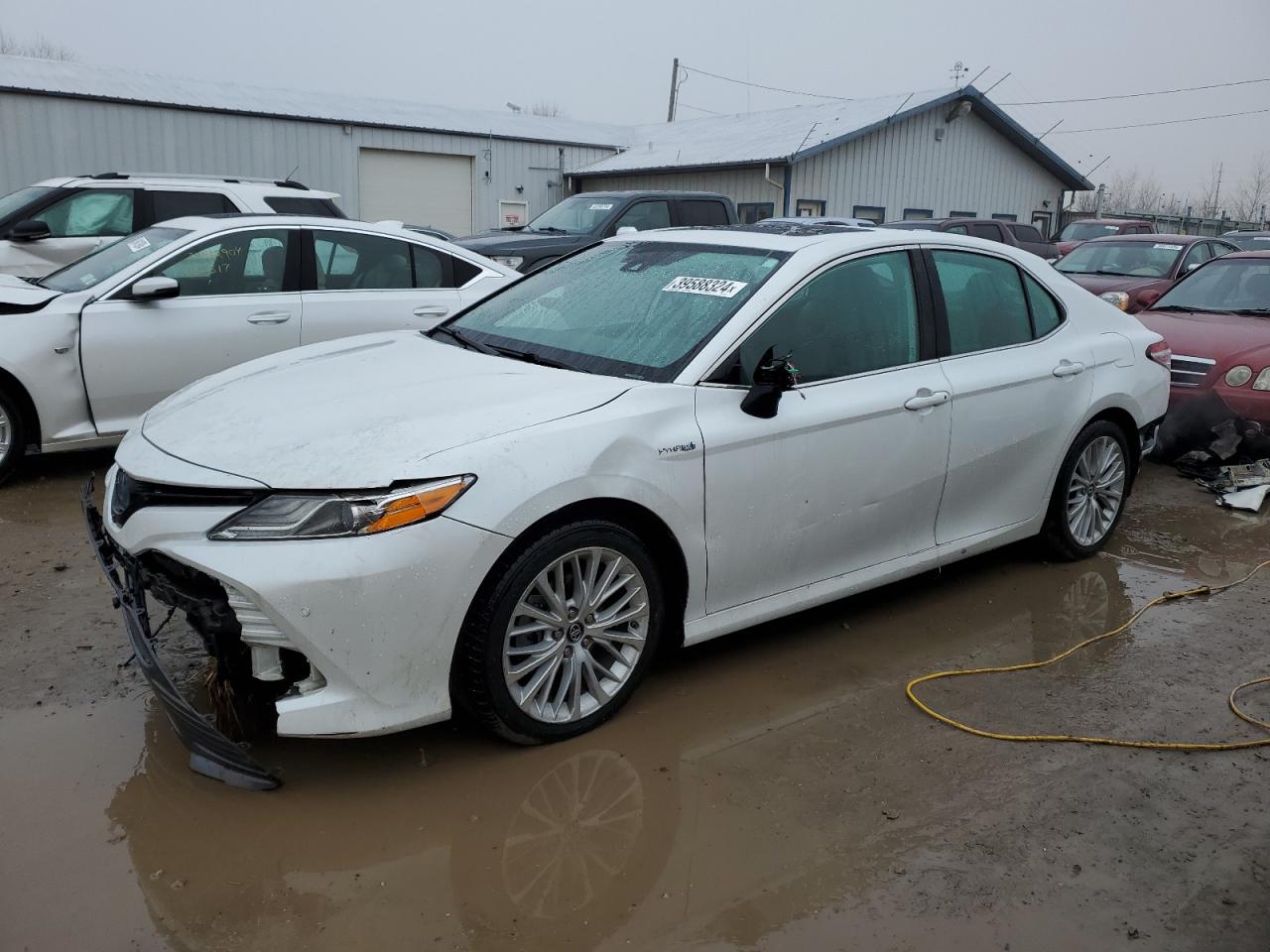 TOYOTA CAMRY 2019 4t1b21hk8ku519299