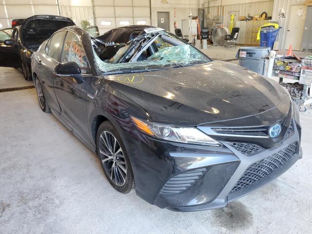 TOYOTA CAMRY HYBR 2019 4t1b21hk8ku520033