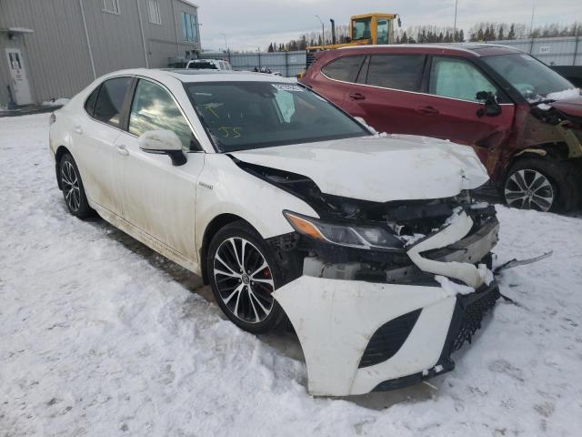 TOYOTA CAMRY 2019 4t1b21hk9ku010502