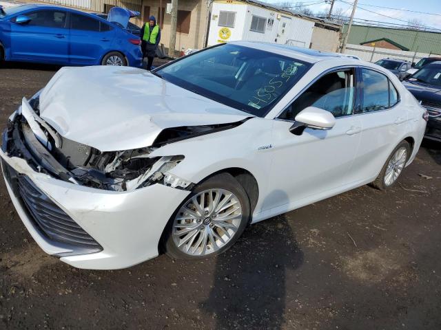 TOYOTA CAMRY 2019 4t1b21hk9ku013089