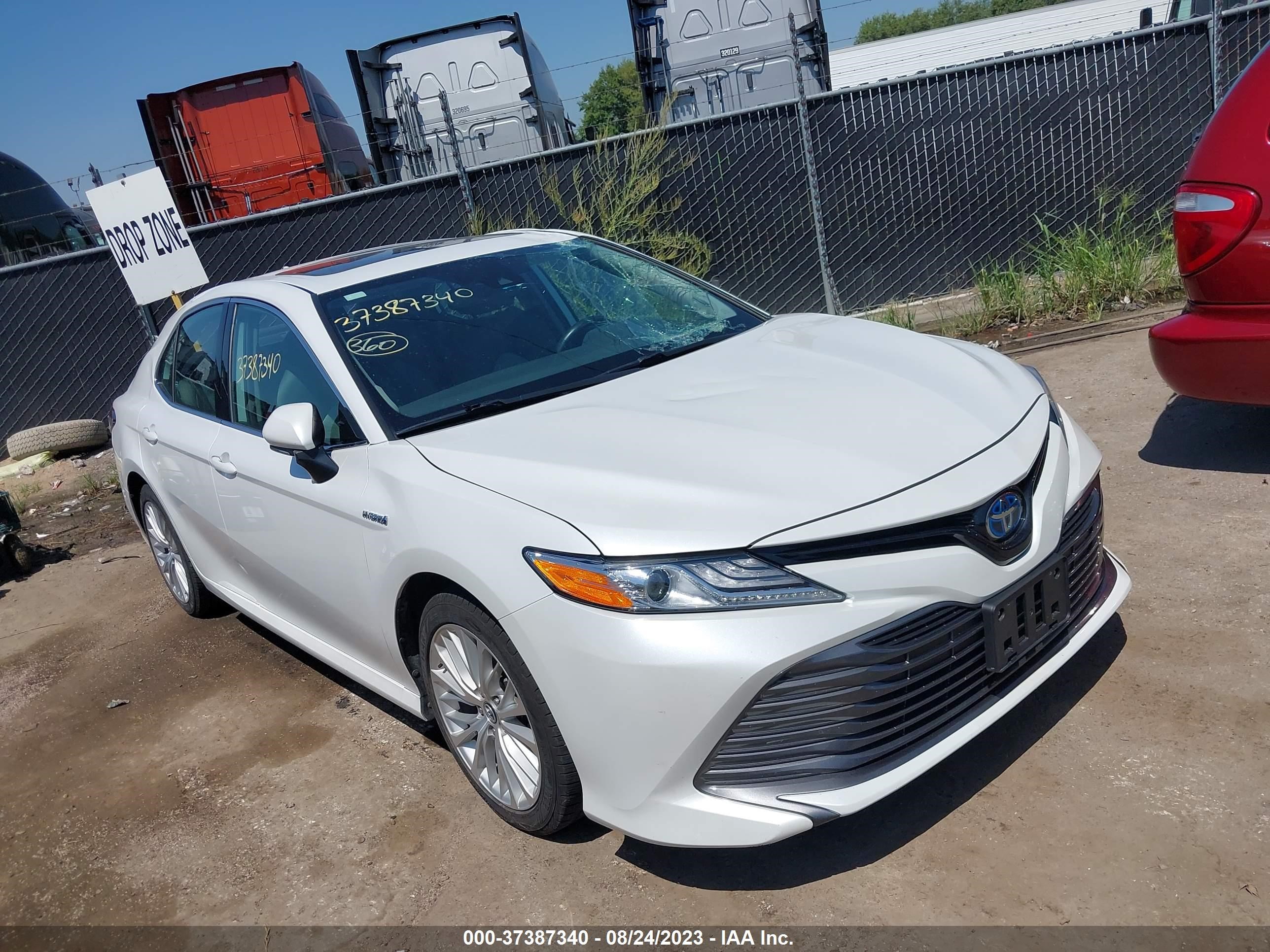 TOYOTA CAMRY 2019 4t1b21hk9ku514547