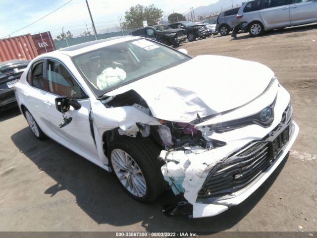 TOYOTA CAMRY 2019 4t1b21hk9ku515245