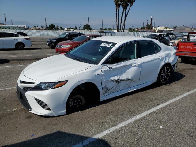 TOYOTA CAMRY 2019 4t1b21hk9ku518923