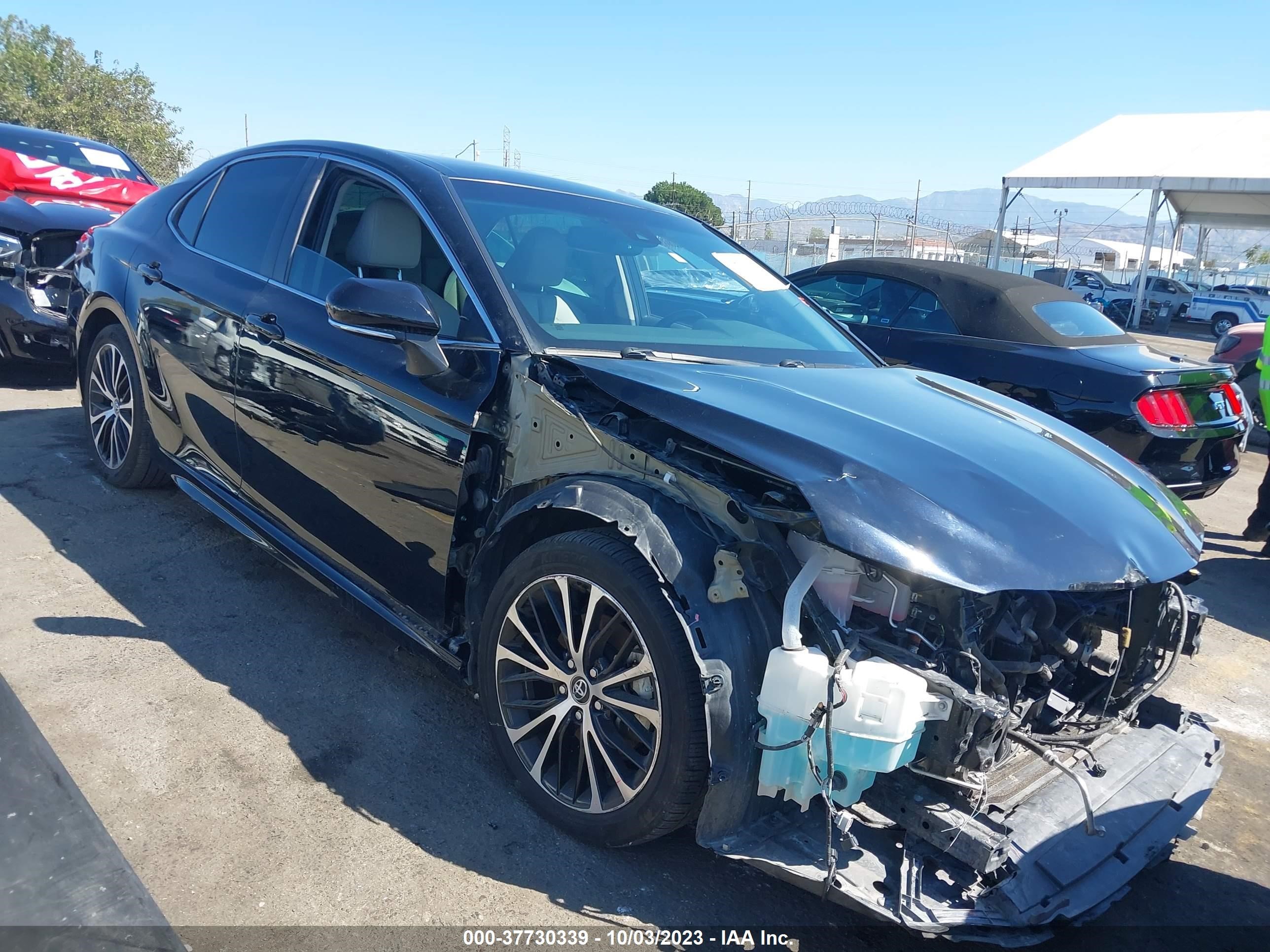 TOYOTA CAMRY 2019 4t1b21hk9ku521448