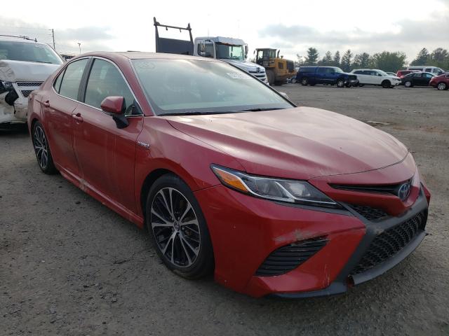 TOYOTA CAMRY HYBR 2019 4t1b21hkxku012131