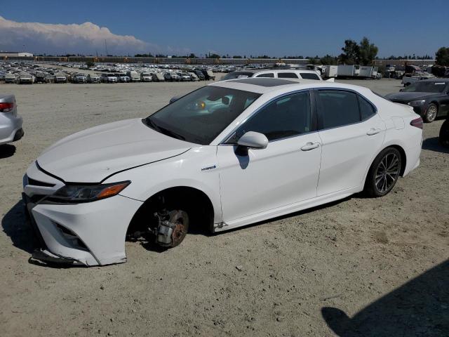 TOYOTA CAMRY HYBR 2019 4t1b21hkxku511950