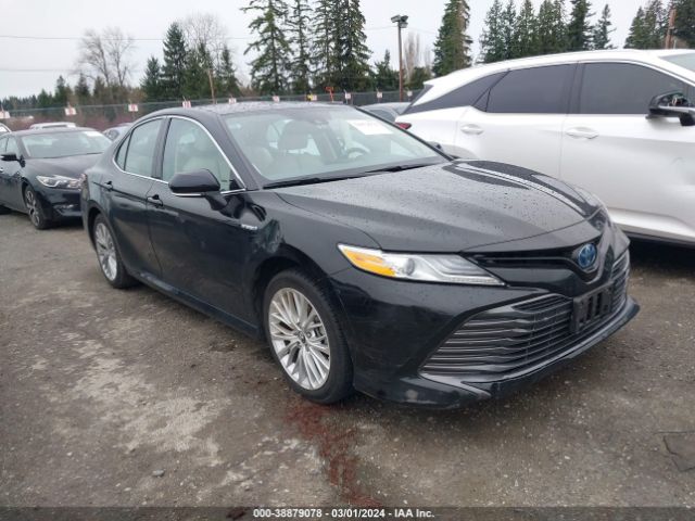 TOYOTA CAMRY HYBRID 2019 4t1b21hkxku516226