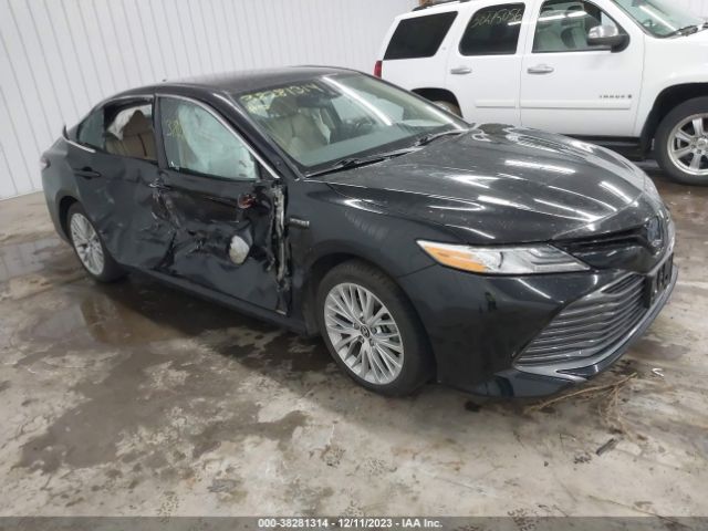 TOYOTA CAMRY 2019 4t1b21hkxku517988