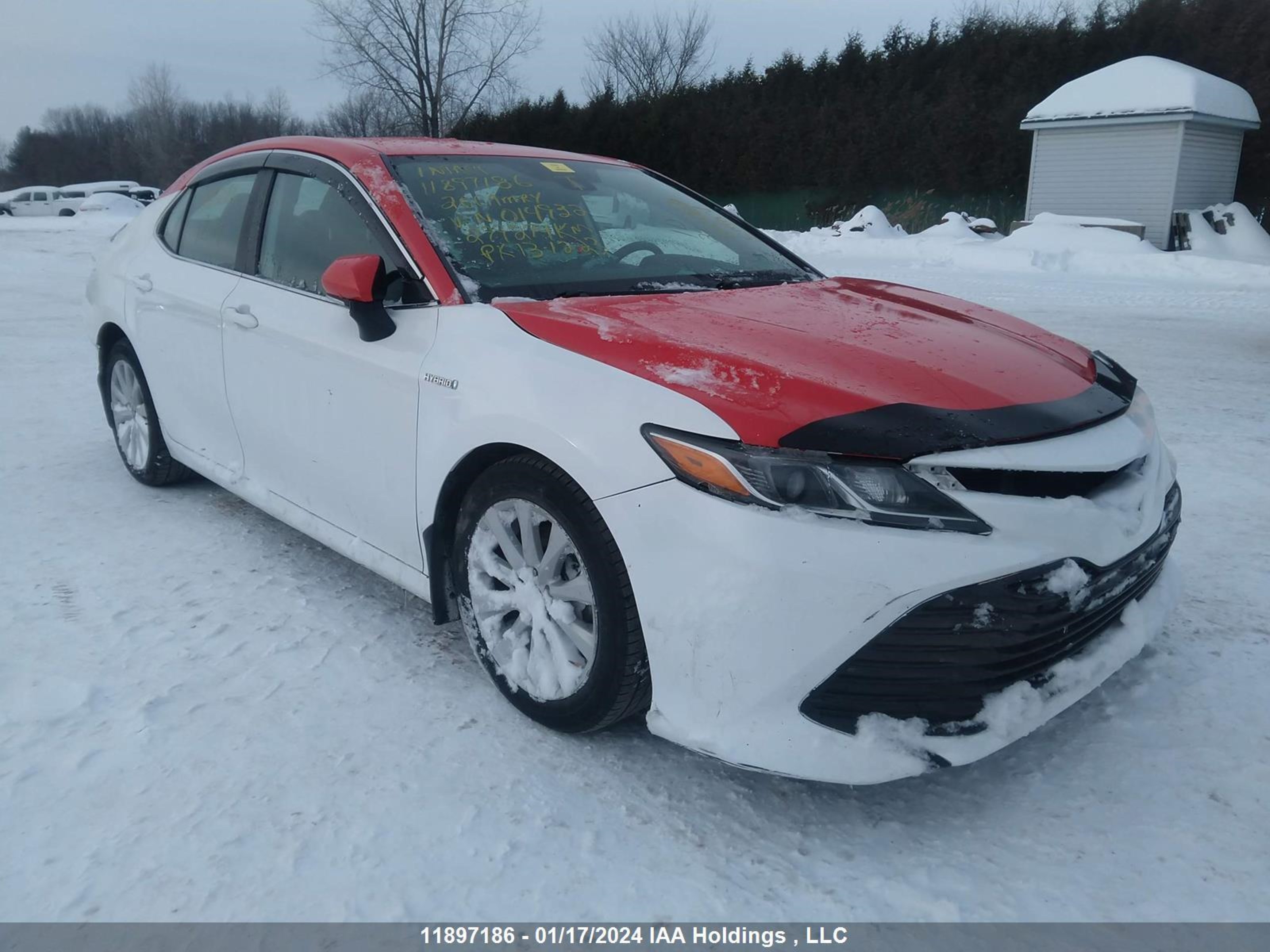 TOYOTA CAMRY 2020 4t1b31ak3lu014932