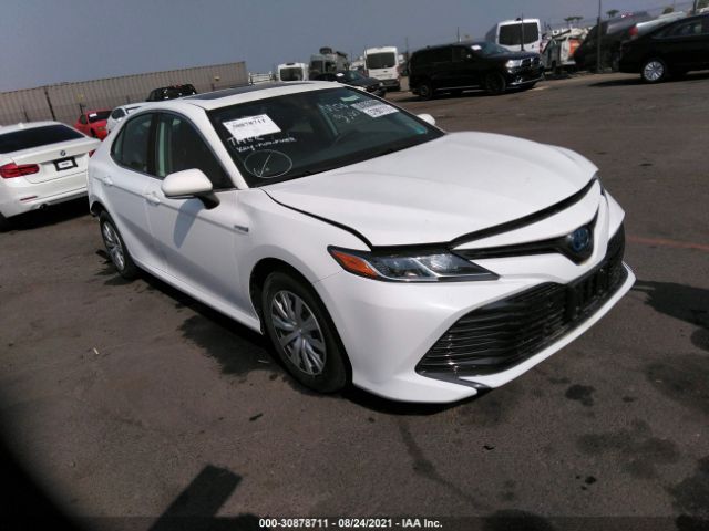 TOYOTA CAMRY 2019 4t1b31hk0ku006450