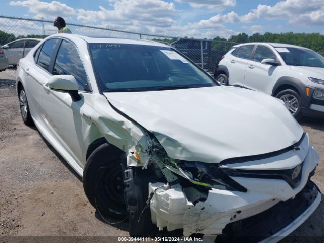 TOYOTA CAMRY HYBRID 2019 4t1b31hk1ku004870