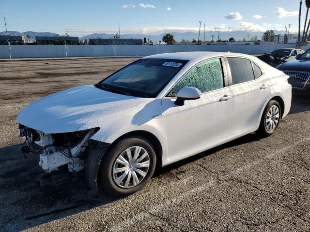 TOYOTA CAMRY 2019 4t1b31hk1ku008966