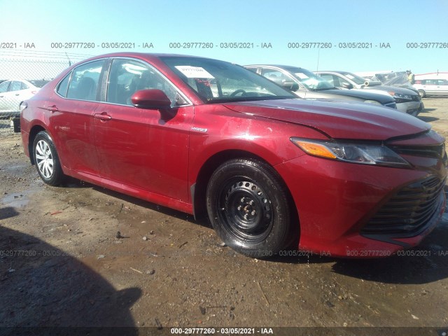 TOYOTA CAMRY 2019 4t1b31hk1ku508934