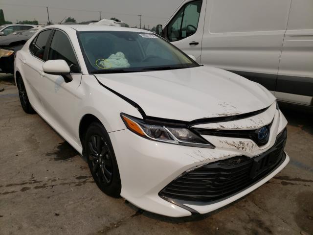 TOYOTA CAMRY 2019 4t1b31hk1ku511509