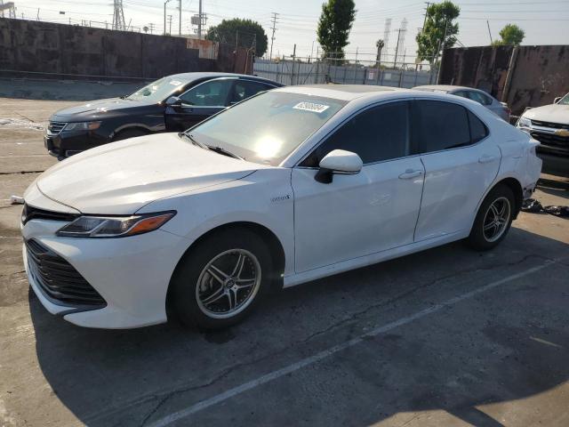 TOYOTA CAMRY 2019 4t1b31hk1ku515981