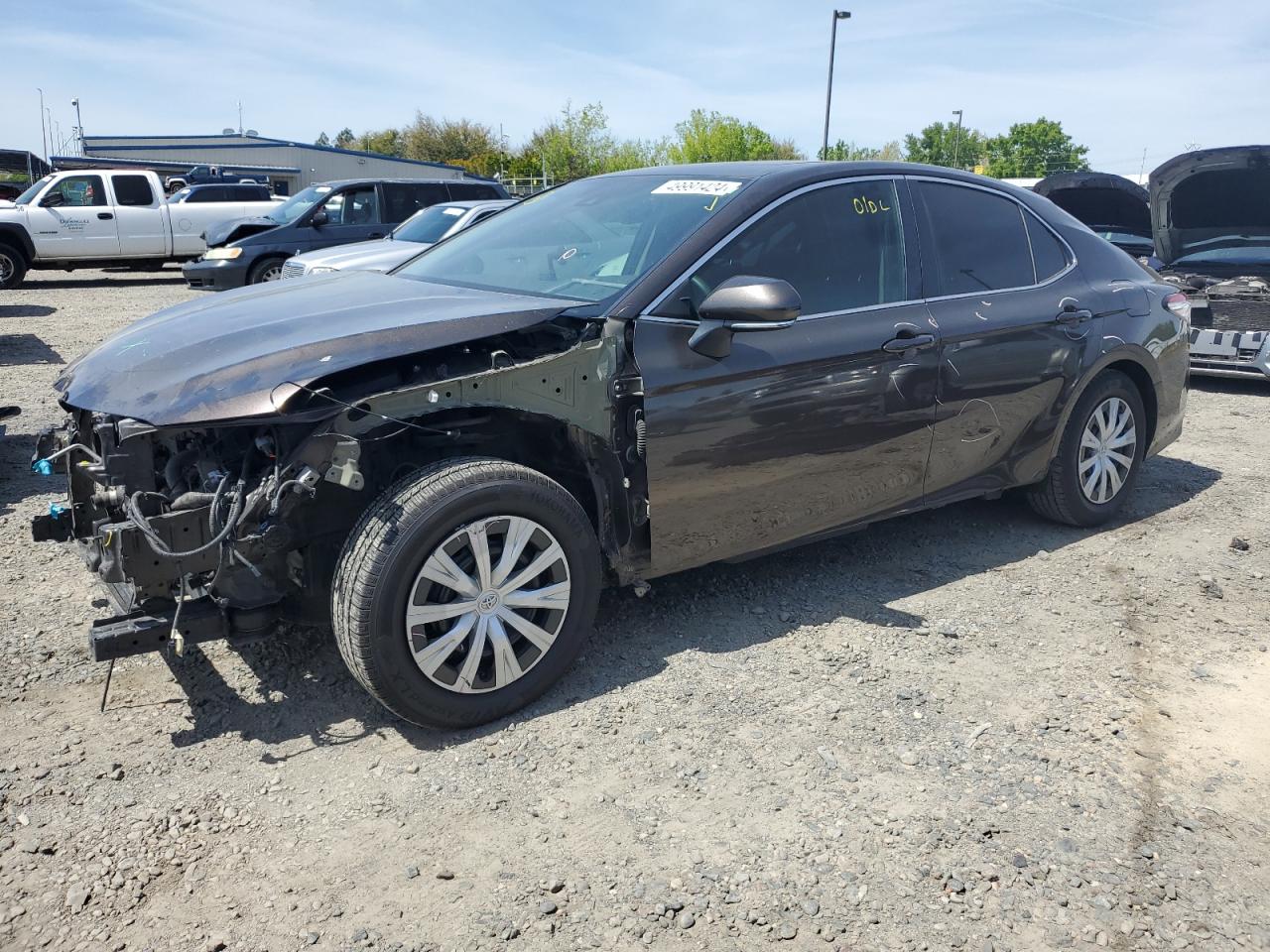 TOYOTA CAMRY 2019 4t1b31hk2ku516024