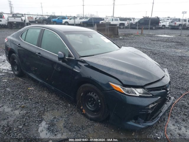 TOYOTA CAMRY HYBRID 2019 4t1b31hk2ku516363