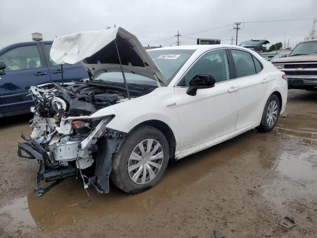 TOYOTA CAMRY LE 2019 4t1b31hk3ku005440