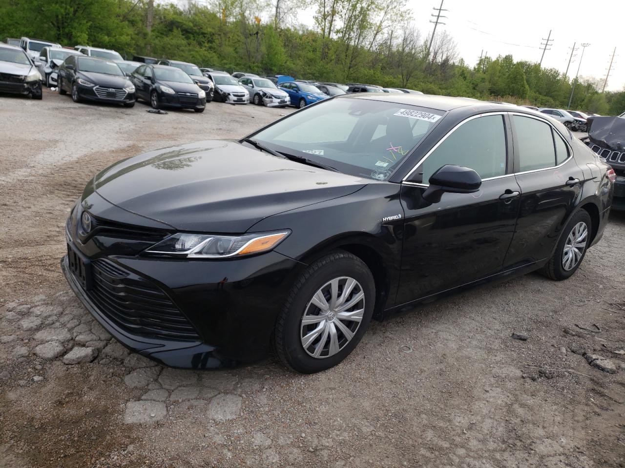 TOYOTA CAMRY 2019 4t1b31hk4ku510290