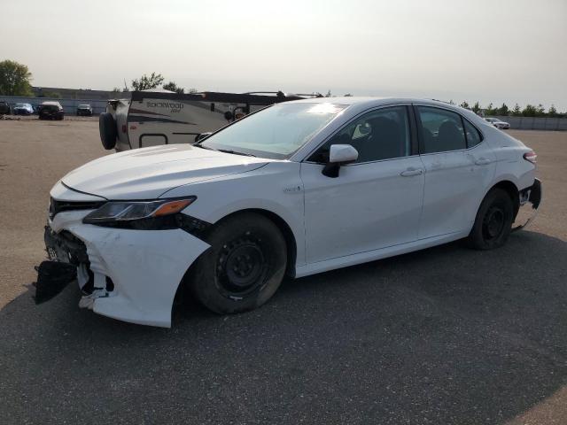 TOYOTA CAMRY LE 2019 4t1b31hk5ku005388