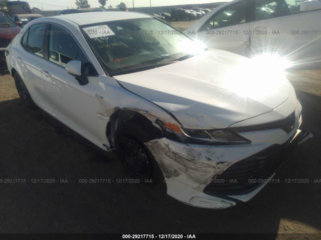 TOYOTA CAMRY 2019 4t1b31hk5ku005519