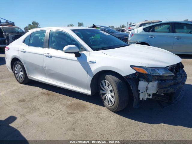 TOYOTA CAMRY HYBRID 2019 4t1b31hk5ku006332