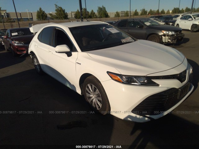 TOYOTA CAMRY 2019 4t1b31hk5ku509536