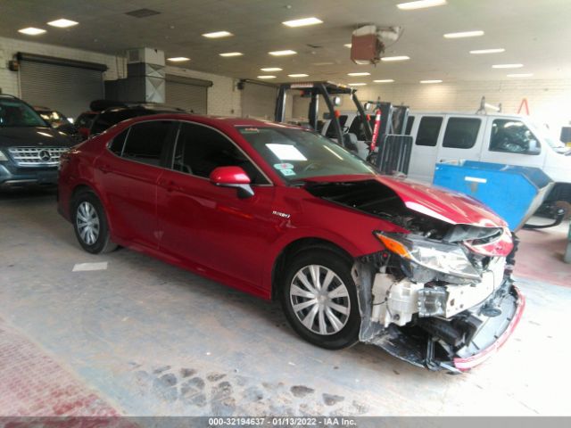 TOYOTA CAMRY 2019 4t1b31hk6ku007408