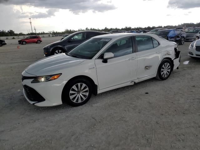 TOYOTA CAMRY 2019 4t1b31hk6ku007490