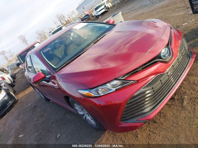 TOYOTA CAMRY 2019 4t1b31hk6ku508931