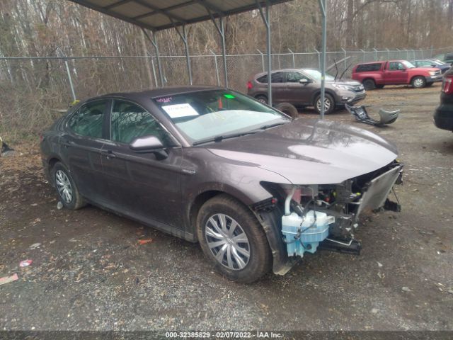 TOYOTA CAMRY 2019 4t1b31hk6ku509481