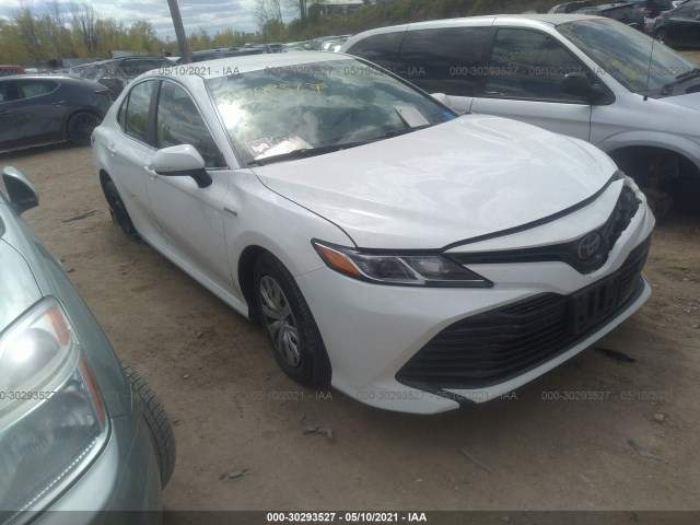 TOYOTA CAMRY 2019 4t1b31hk6ku510775