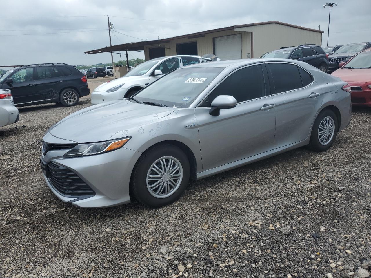 TOYOTA CAMRY 2019 4t1b31hk6ku511070