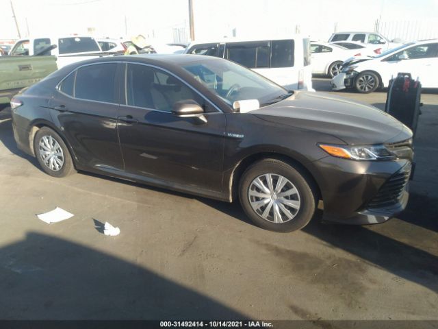 TOYOTA CAMRY 2019 4t1b31hk6ku515782