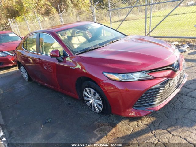 TOYOTA NULL 2019 4t1b31hk6ku515913