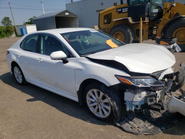 TOYOTA CAMRY LE 2019 4t1b31hk7ku509070