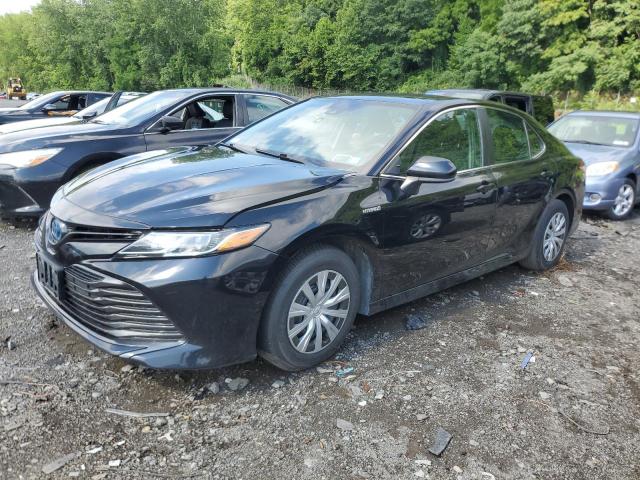 TOYOTA CAMRY 2019 4t1b31hk7ku509568