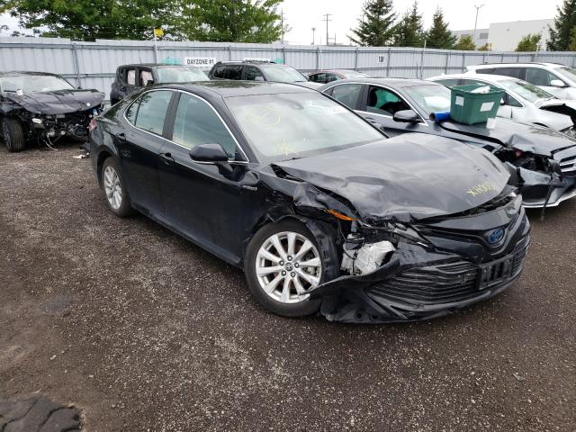 TOYOTA CAMRY LE 2019 4t1b31hk7ku512633