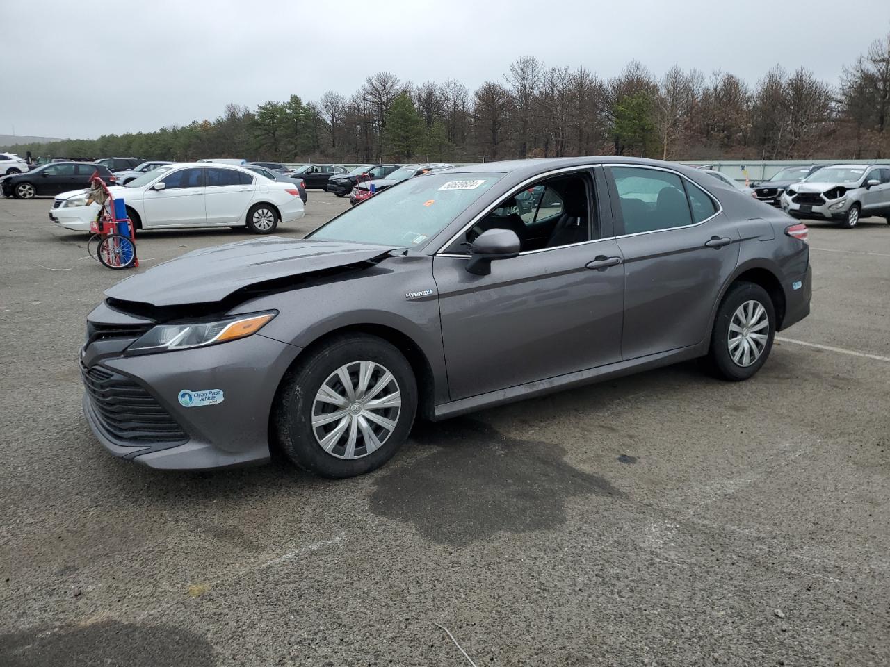 TOYOTA CAMRY 2019 4t1b31hk7ku514365